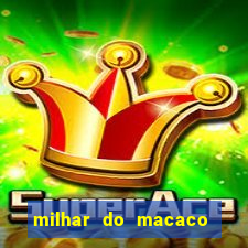 milhar do macaco que mais saem no jogo do bicho