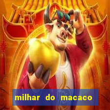 milhar do macaco que mais saem no jogo do bicho