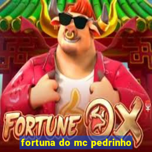 fortuna do mc pedrinho