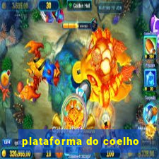 plataforma do coelho