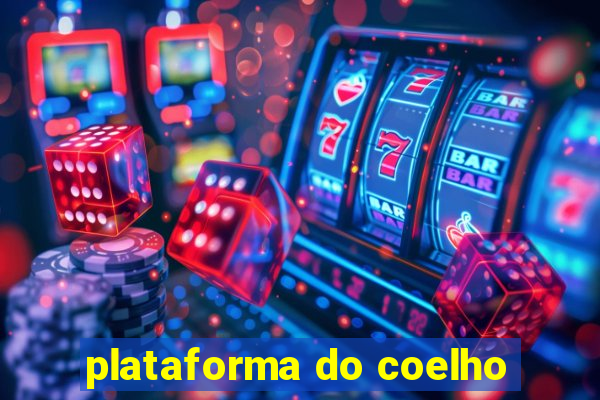 plataforma do coelho