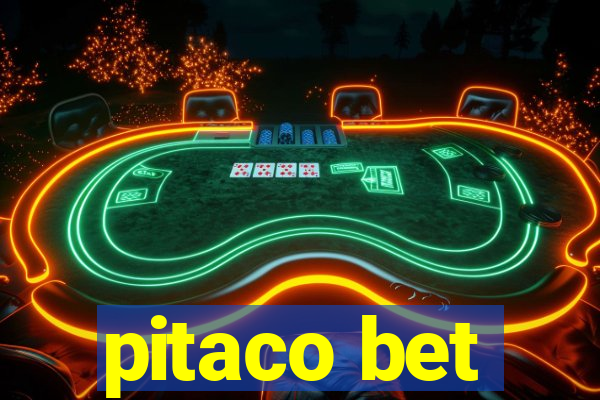 pitaco bet