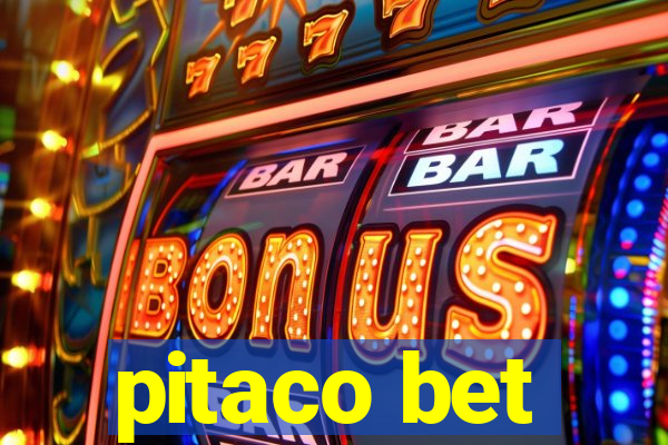 pitaco bet