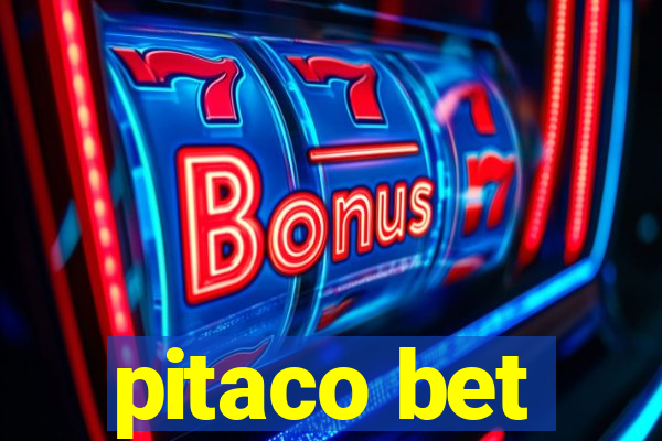 pitaco bet