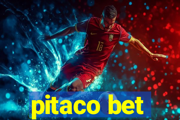 pitaco bet