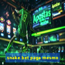 snake bet paga mesmo