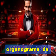 organograma da cacau show