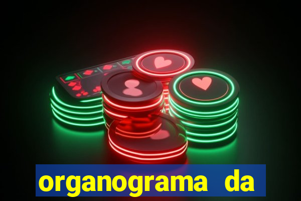 organograma da cacau show