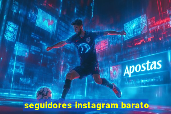 seguidores instagram barato