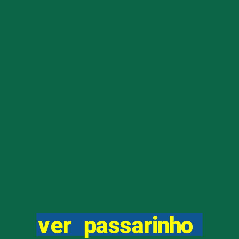 ver passarinho morto significado