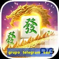 grupo telegram sao jose do rio preto