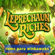 roms para winkawaks