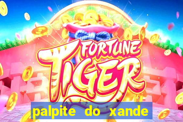 palpite do xande de hoje