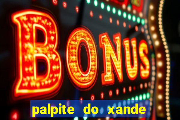 palpite do xande de hoje