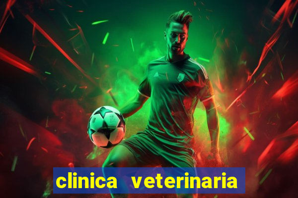 clinica veterinaria cuidar betim