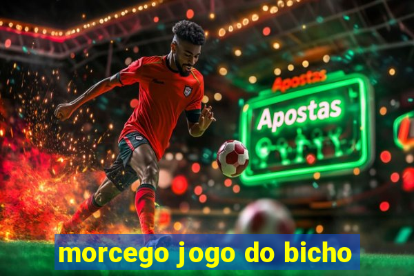 morcego jogo do bicho