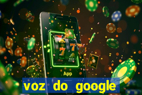 voz do google tradutor homem