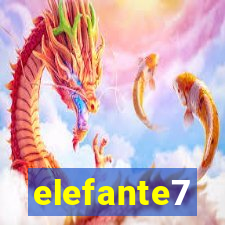 elefante7