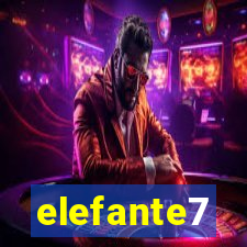 elefante7