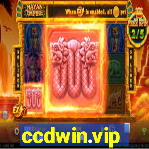 ccdwin.vip