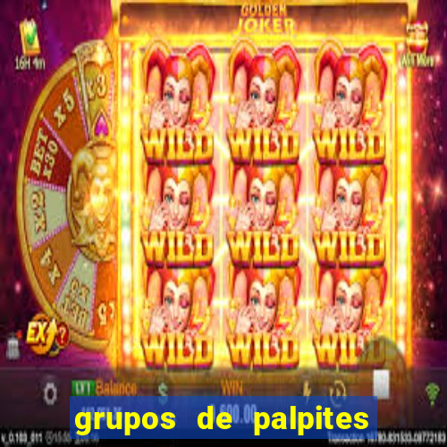 grupos de palpites de futebol whatsapp