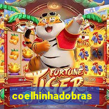 coelhinhadobrasil