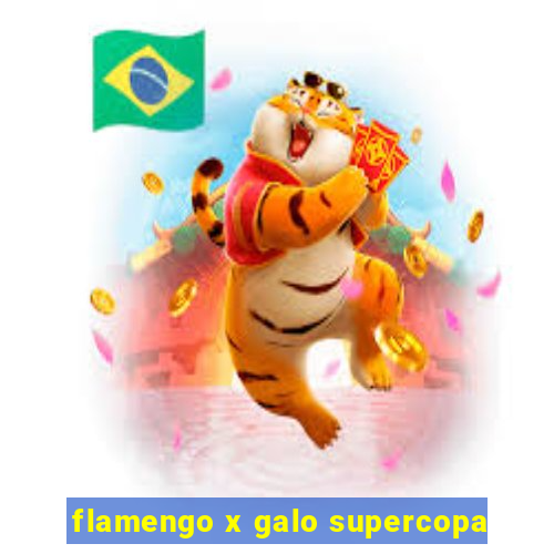 flamengo x galo supercopa