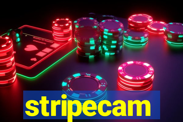 stripecam