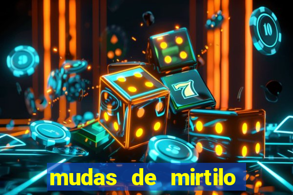 mudas de mirtilo em porto alegre