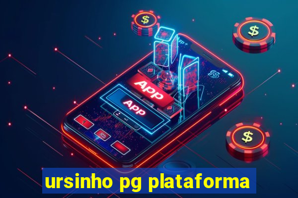 ursinho pg plataforma