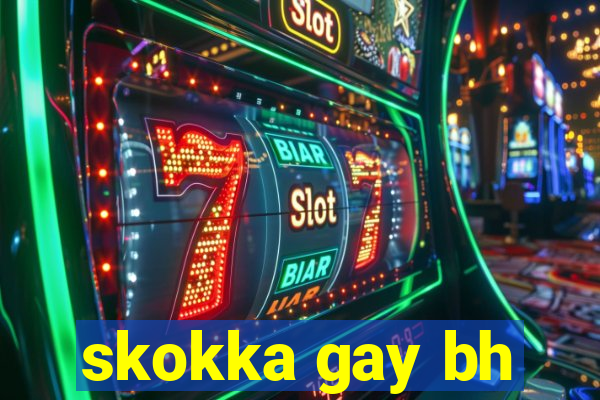 skokka gay bh