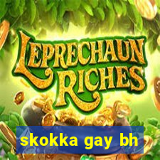 skokka gay bh