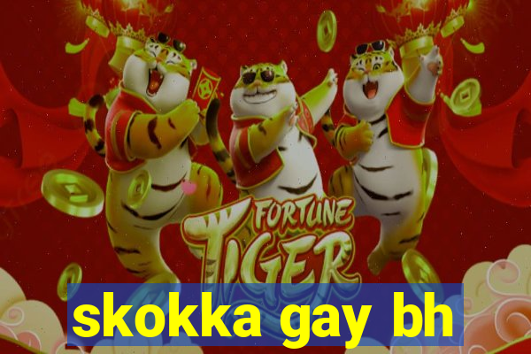 skokka gay bh