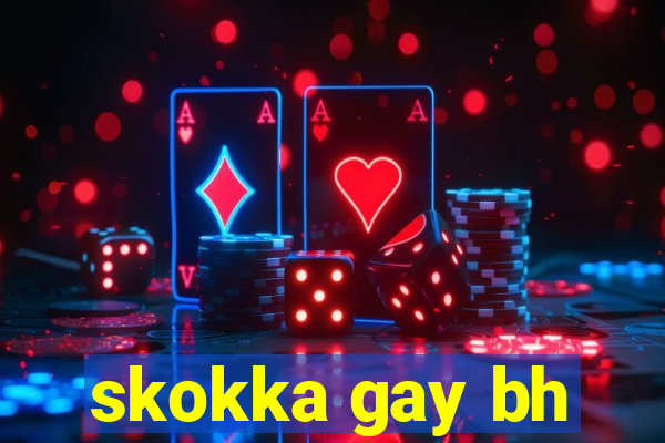 skokka gay bh