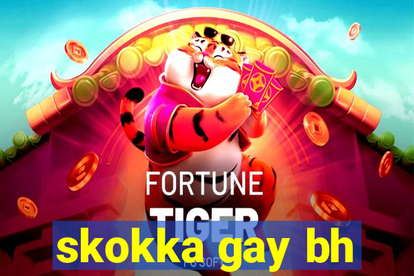 skokka gay bh