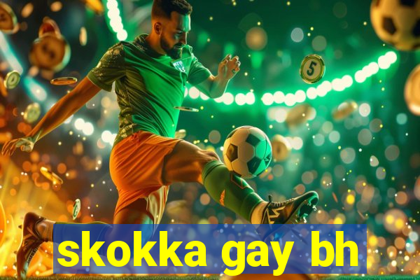 skokka gay bh