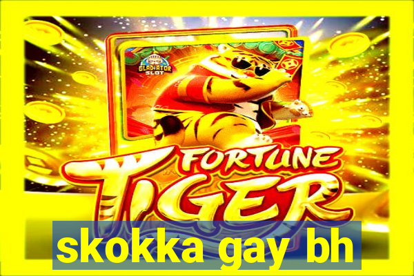 skokka gay bh