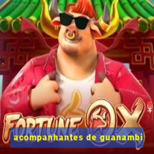 acompanhantes de guanambi