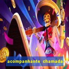 acompanhante chamada de video