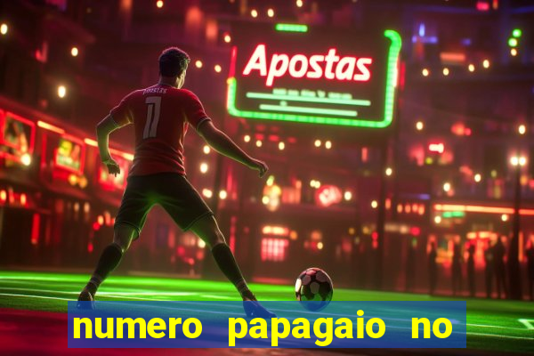 numero papagaio no jogo do bicho