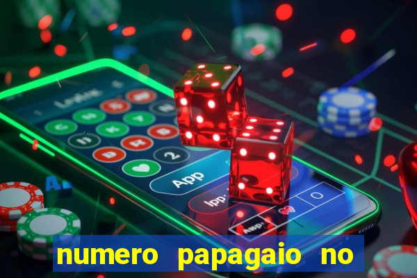 numero papagaio no jogo do bicho