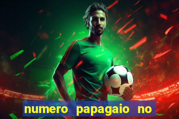 numero papagaio no jogo do bicho