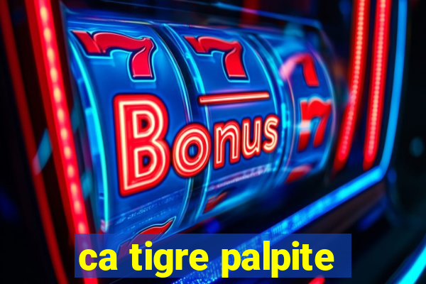 ca tigre palpite