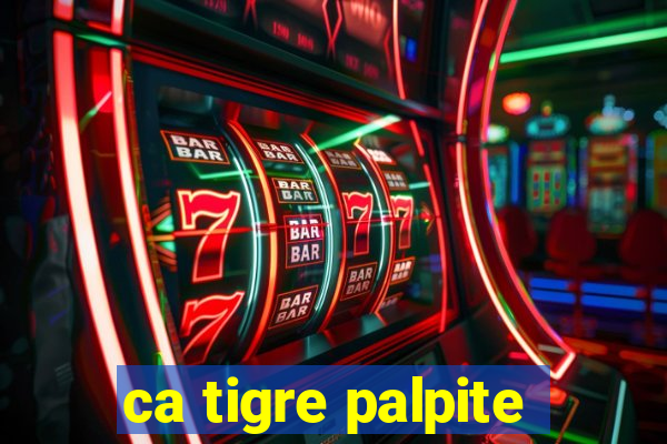 ca tigre palpite