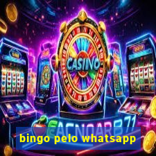 bingo pelo whatsapp