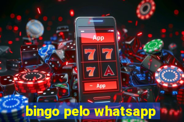 bingo pelo whatsapp