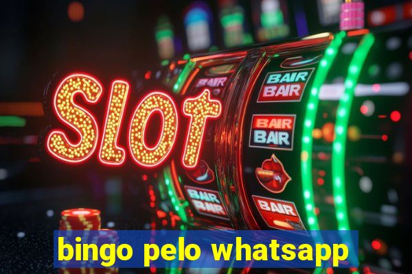 bingo pelo whatsapp