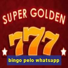 bingo pelo whatsapp