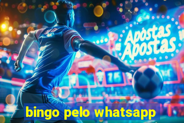 bingo pelo whatsapp