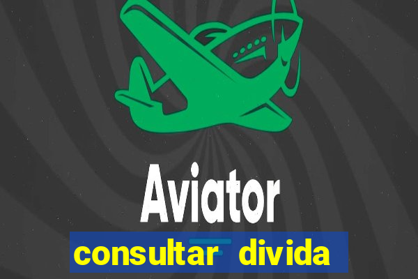 consultar divida casas bahia